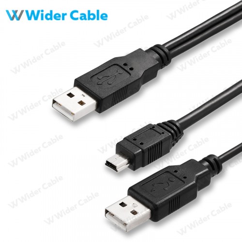 2 in 1 Mini 10P to USB 3.0 AM Cable Black Color